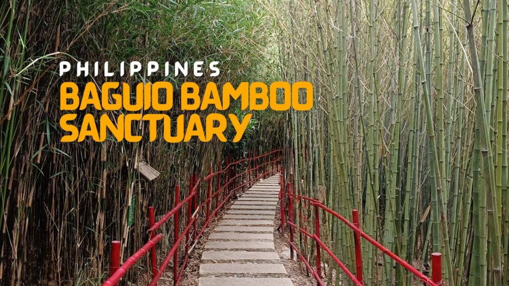 Explore The Beautiful Bamboo Sanctuary in Baguio City