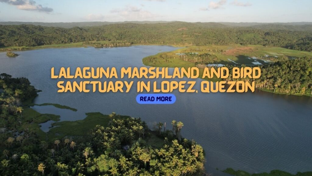 Lalaguna Marshland and Bird Sanctuary in Quezon