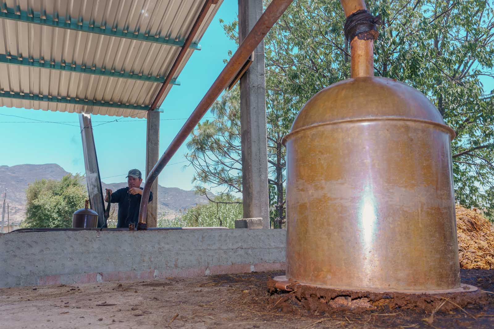 things to do in oaxaca mezcal distillery